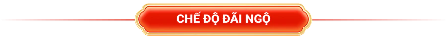 title-che-do-dai-ngo